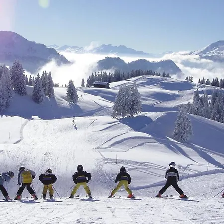 Tiny House Neben Skipiste